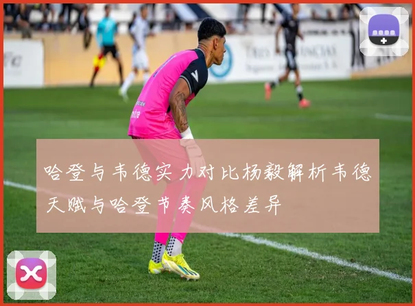 哈登与韦德实力对比杨毅解析韦德天赋与哈登节奏风格差异