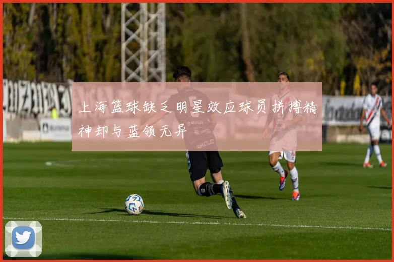 上海篮球缺乏明星效应球员拼搏精神却与蓝领无异